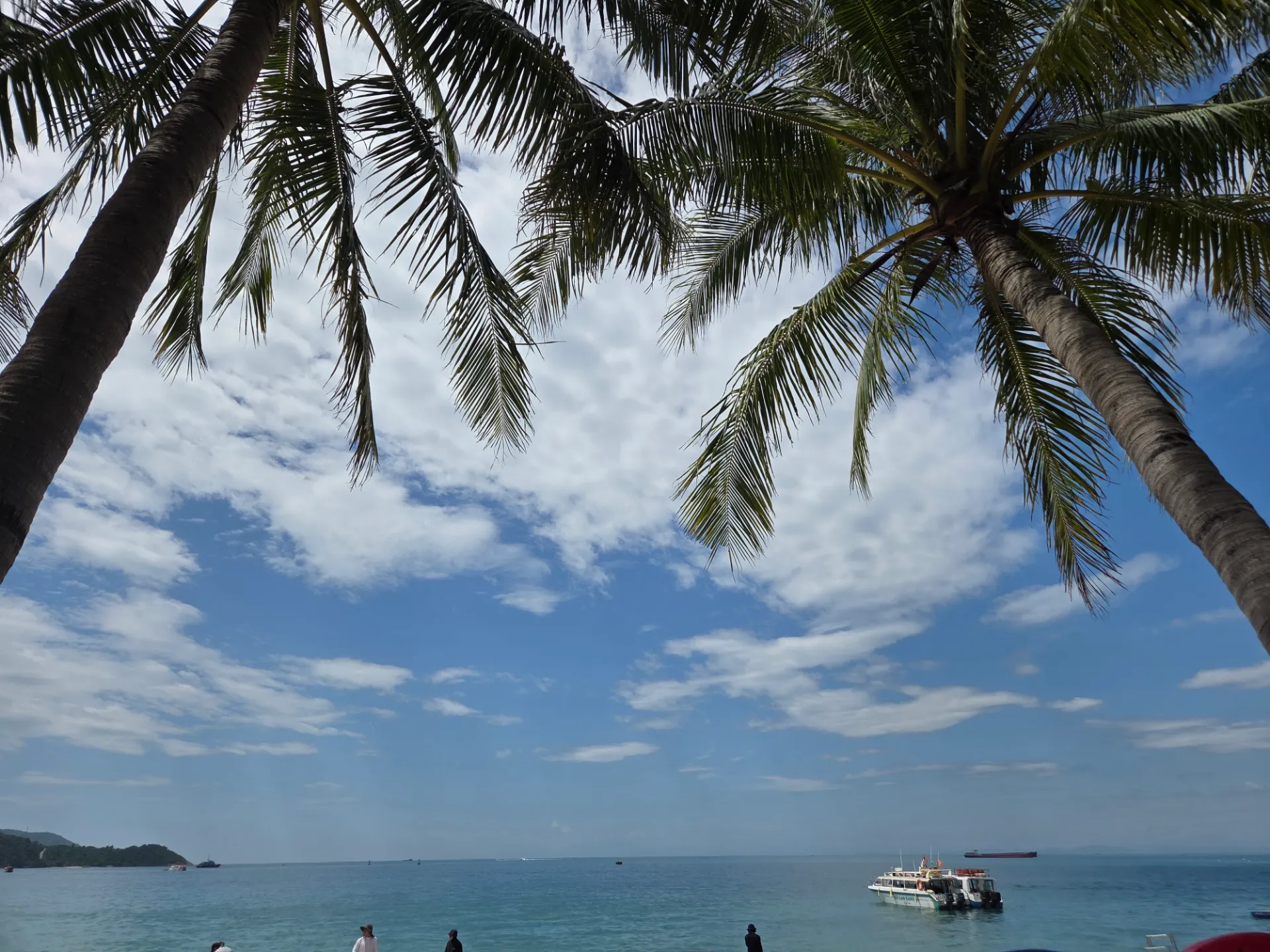 다낭 참섬 해적호핑 & 호이안 올데이 투어 (Cham Island Hopping Tour & Hoi An All-Day Tour) 