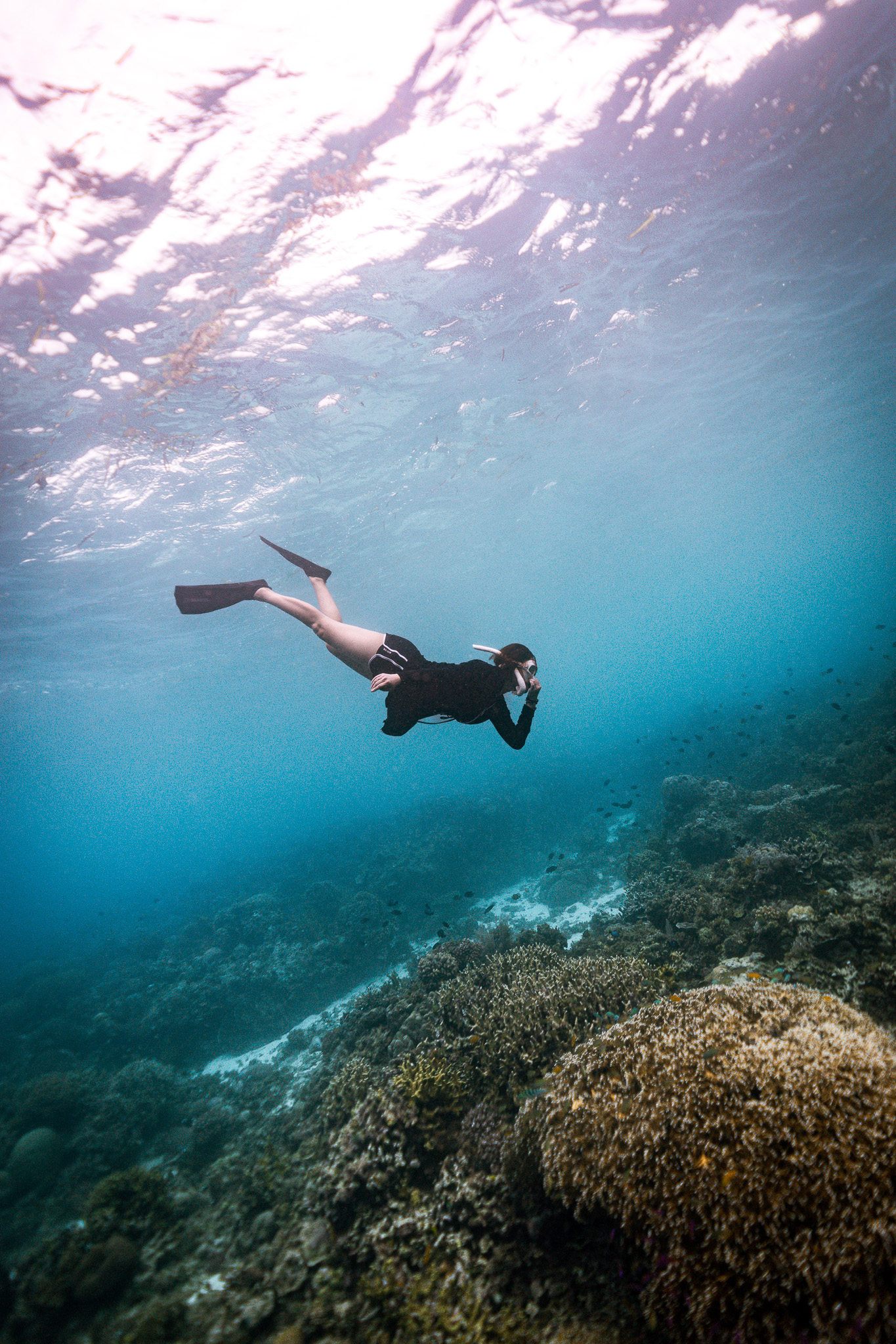 [보홀] 체험 프리 다이빙 (free diving)