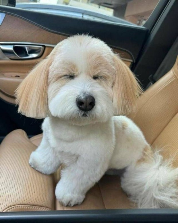 만족하면짖어요의 프로필 이미지