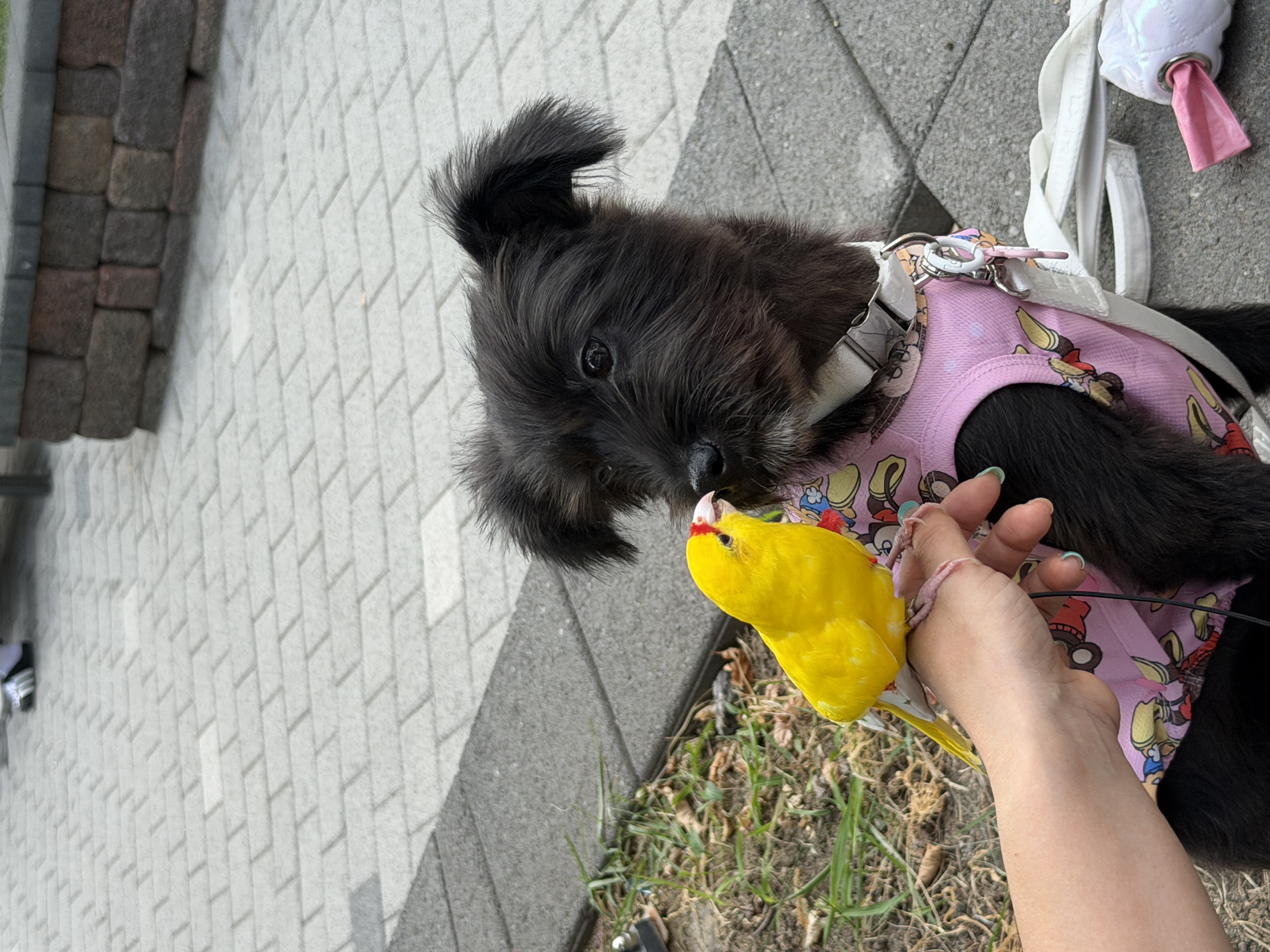 동사모의 프로필 이미지
