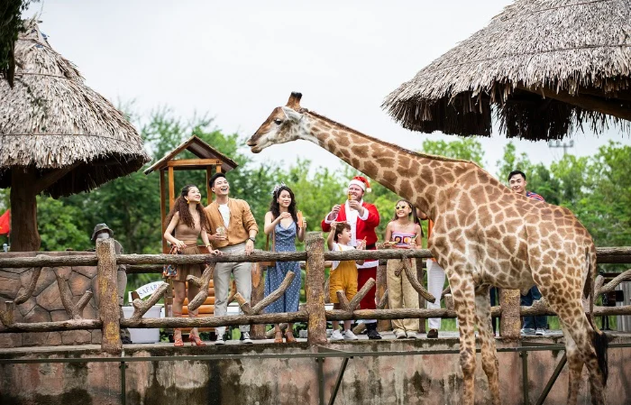 giraffe_same_size_900x578
