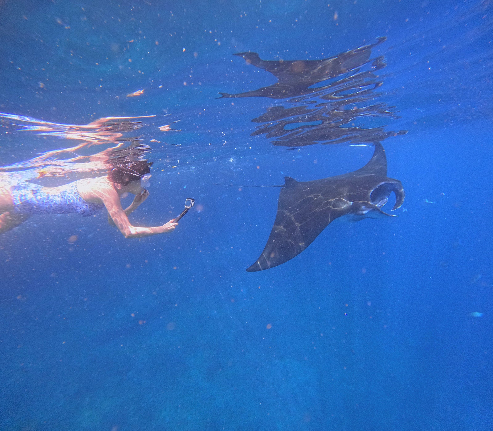 누사 페니다 스노클링+서부 섬 투어 (Nusa Penida Snorkeling & West Tour) 이미지 2