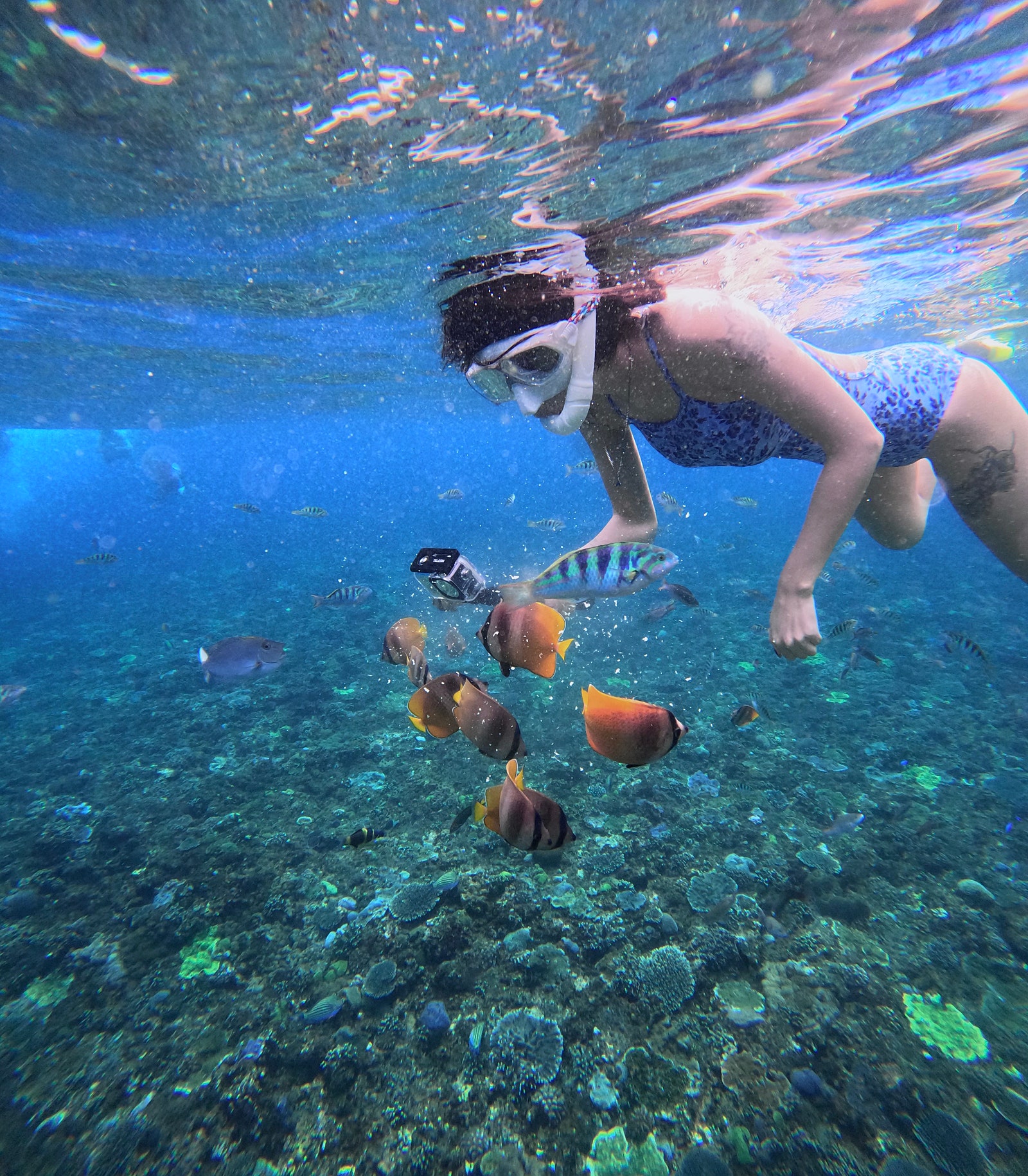 누사 페니다 스노클링+서부 섬 투어 (Nusa Penida Snorkeling & West Tour) 이미지 4
