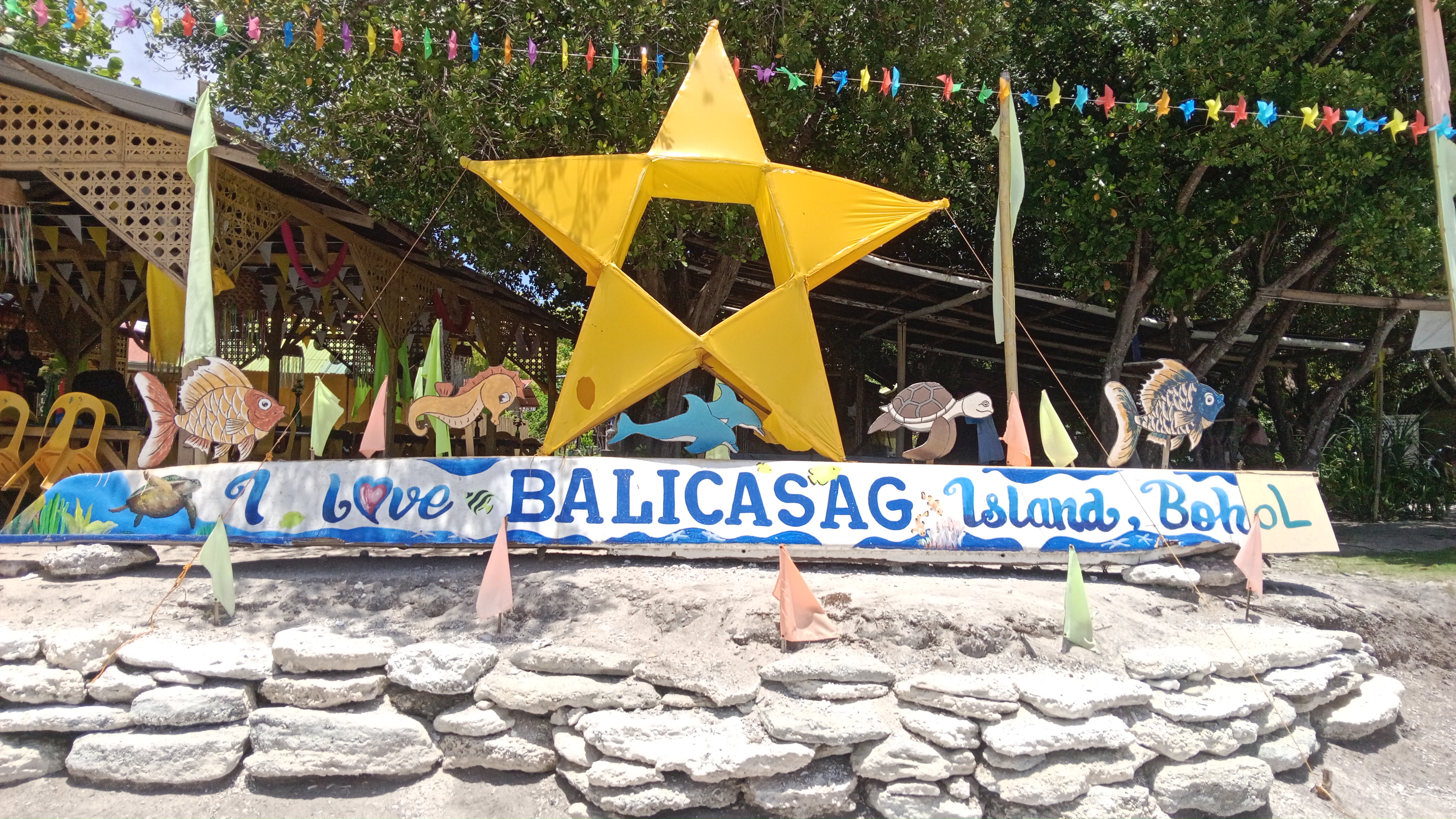 [보홀] 발리카삭+나팔링 투어 (Balicasag+Napaling Tour) 이미지 8