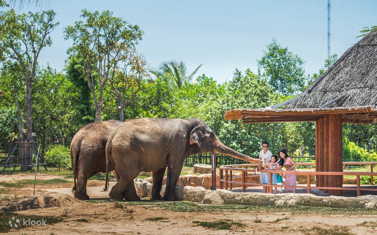 다낭 남호이안 빈원더스 입장권 티켓 (VinWonders Nam Hoi An Tickets) 이미지 14
