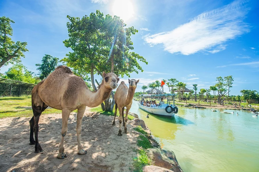 다낭 남호이안 빈원더스 입장권 티켓 (VinWonders Nam Hoi An Tickets) 이미지 13