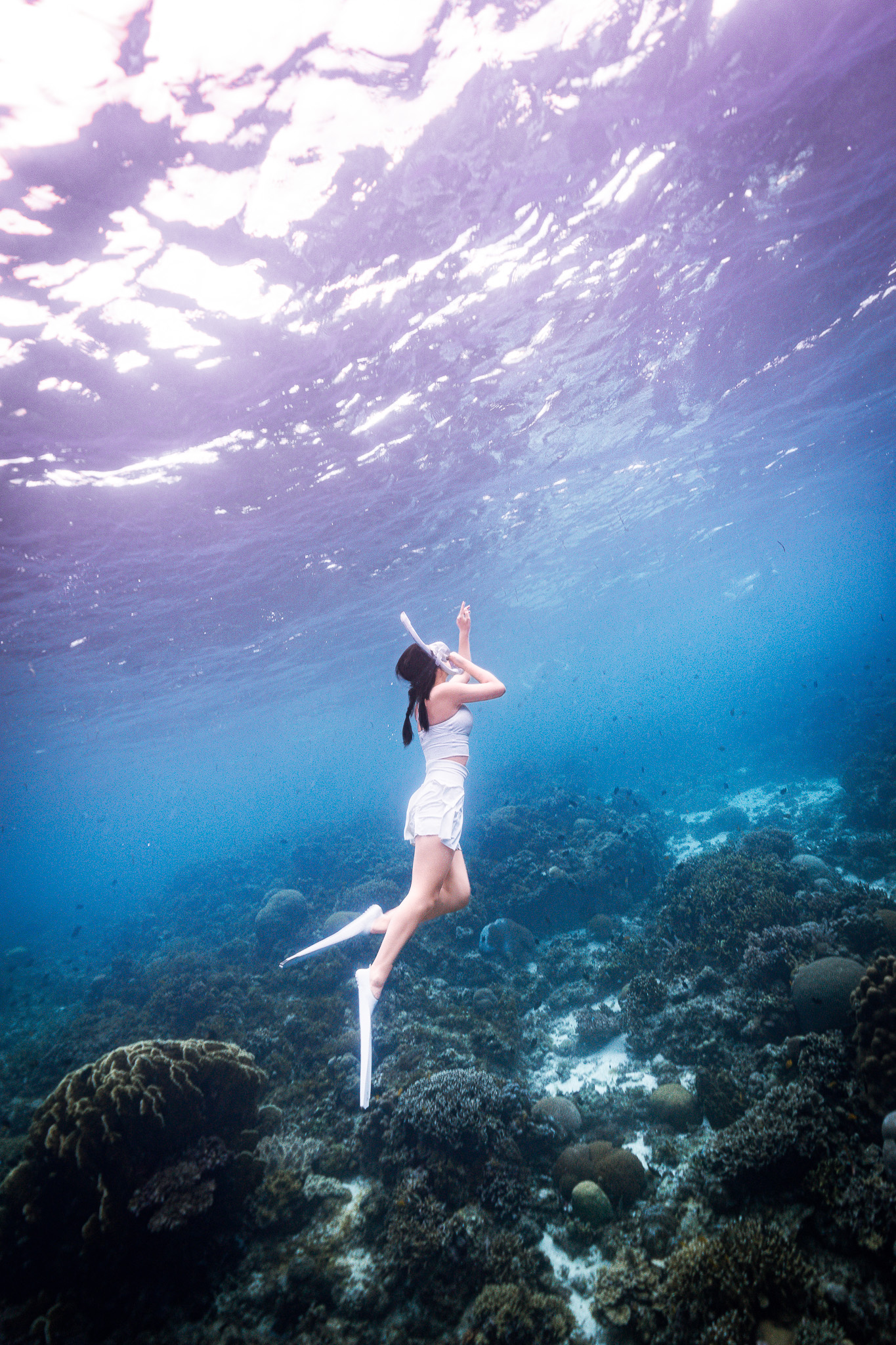 [보홀] 체험 프리 다이빙 (free diving) 이미지 3