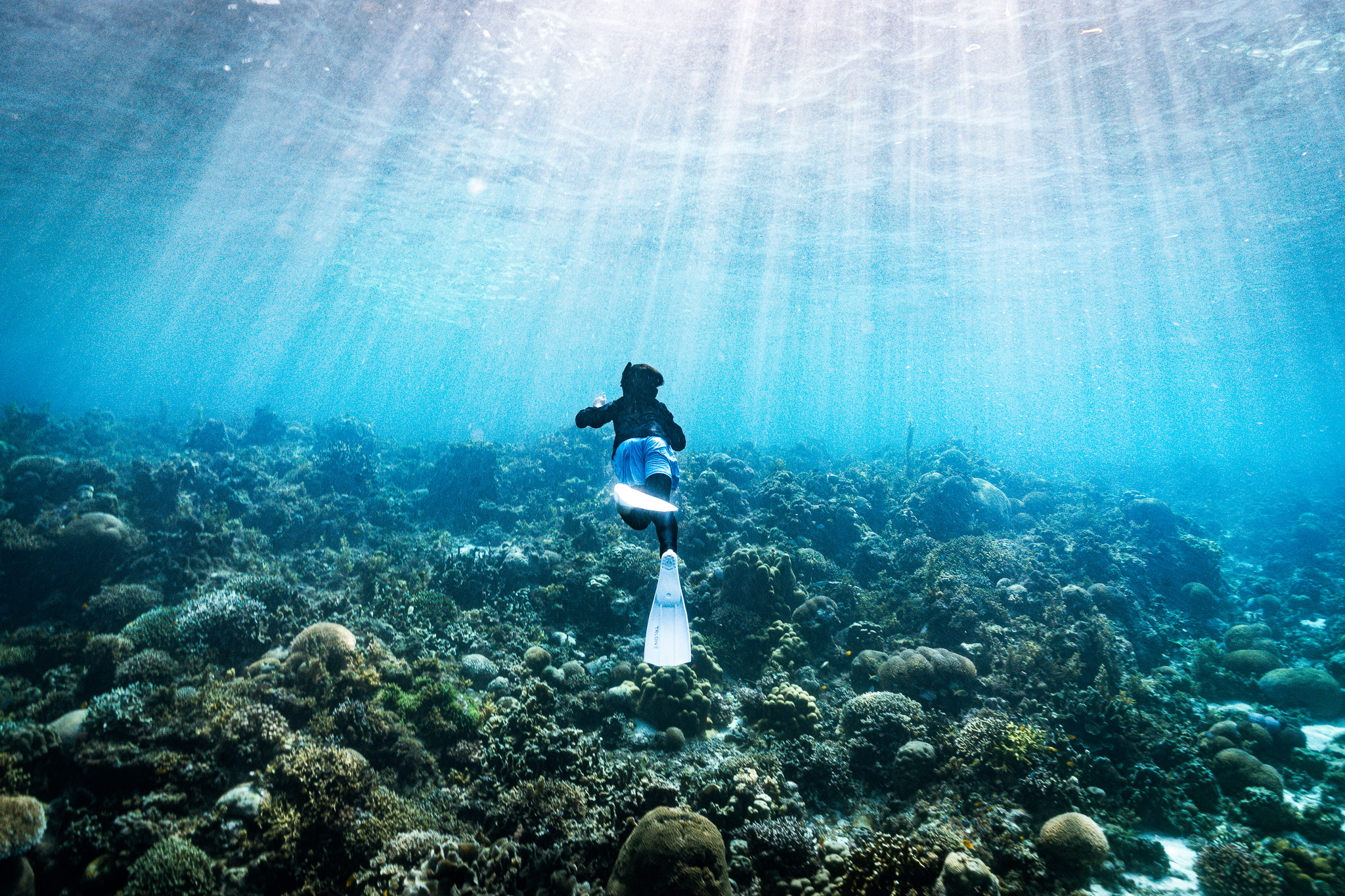 [보홀] 체험 프리 다이빙 (free diving) 이미지 5