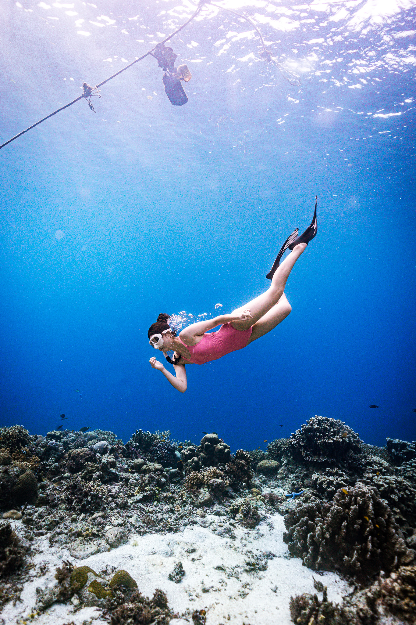 [보홀] 체험 프리 다이빙 (free diving) 이미지 6