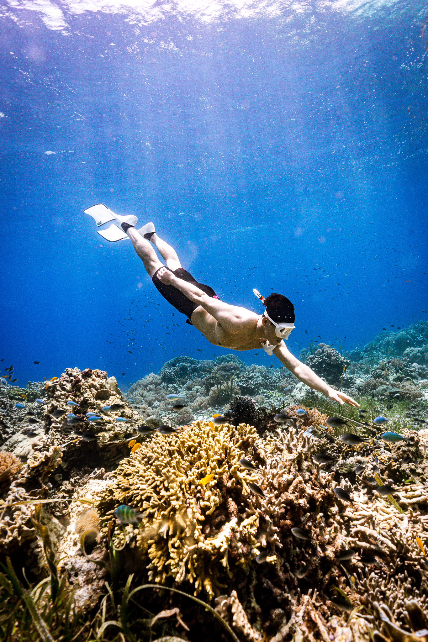 [보홀] 체험 프리 다이빙 (free diving) 이미지 8