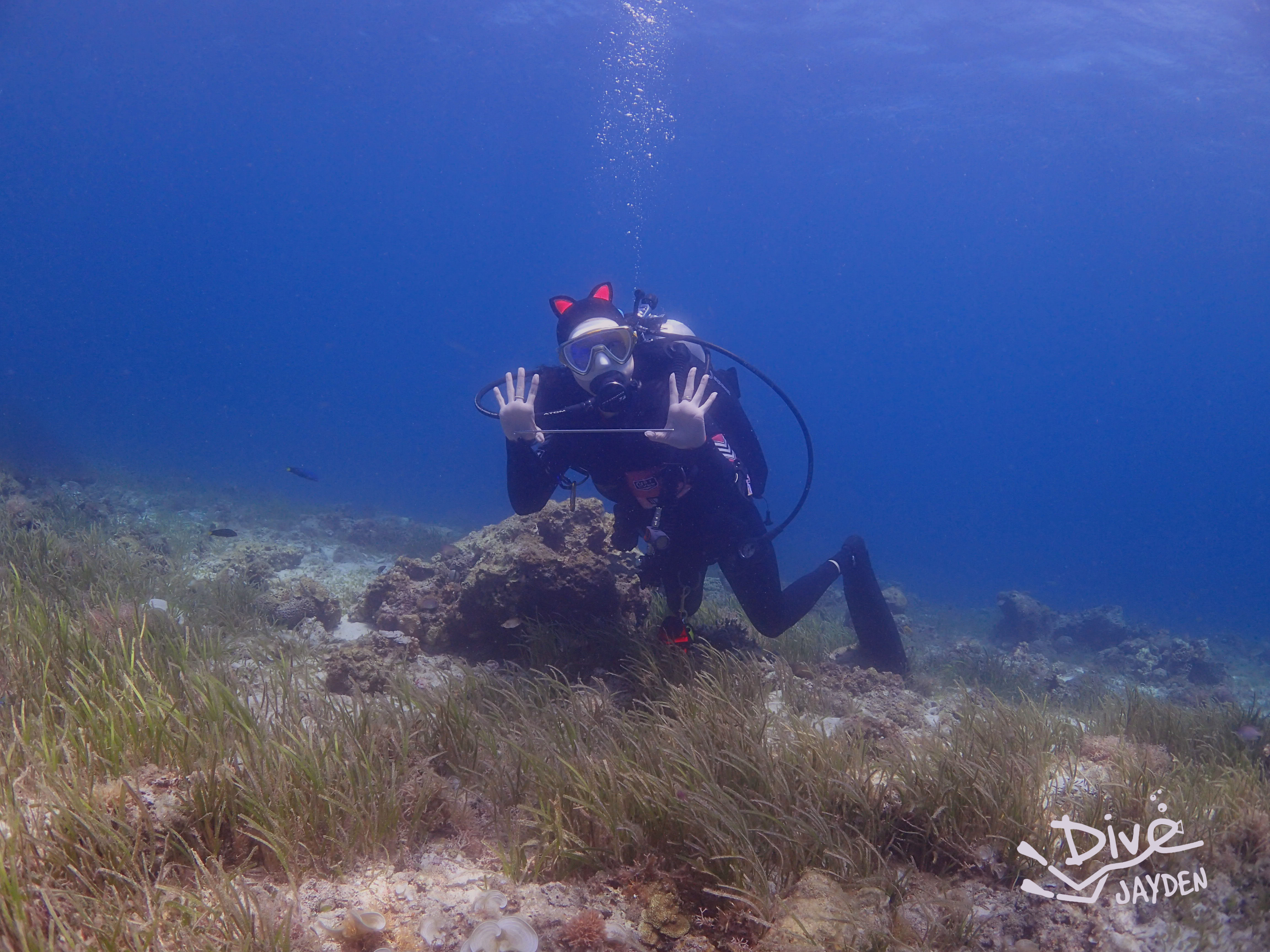 [보홀] 체험 스쿠버 다이빙 (scuba diving) 이미지 2