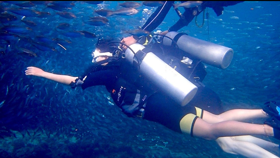 [보홀] 체험 나팔링체험 스쿠버 다이빙 (Napaling Experience Scuba Diving) 이미지 3