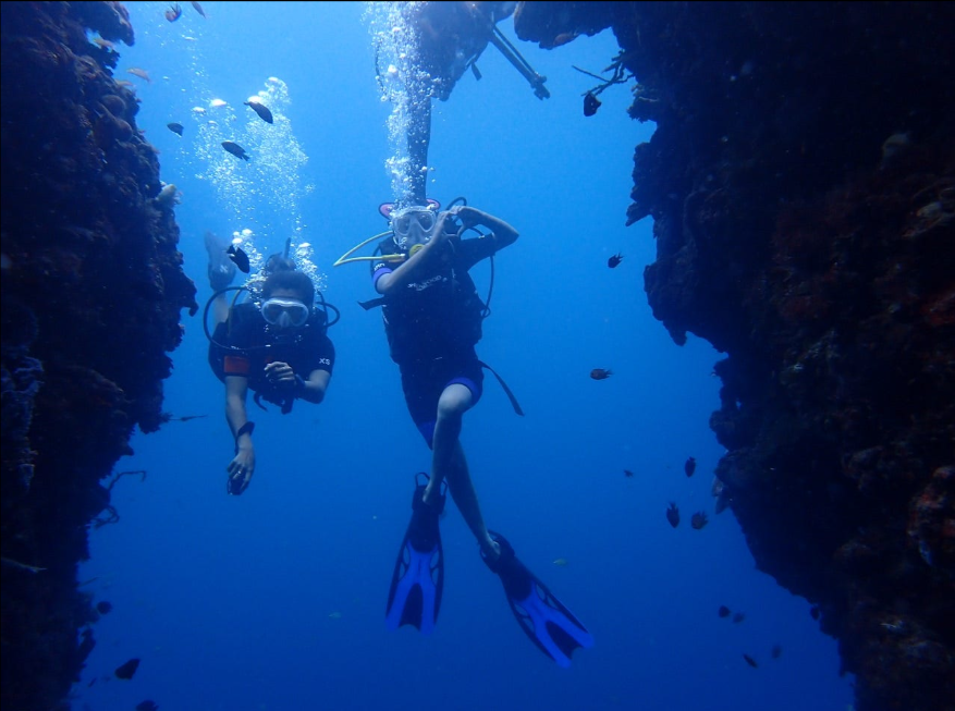 [보홀] 체험 나팔링체험 스쿠버 다이빙 (Napaling Experience Scuba Diving) 이미지 5