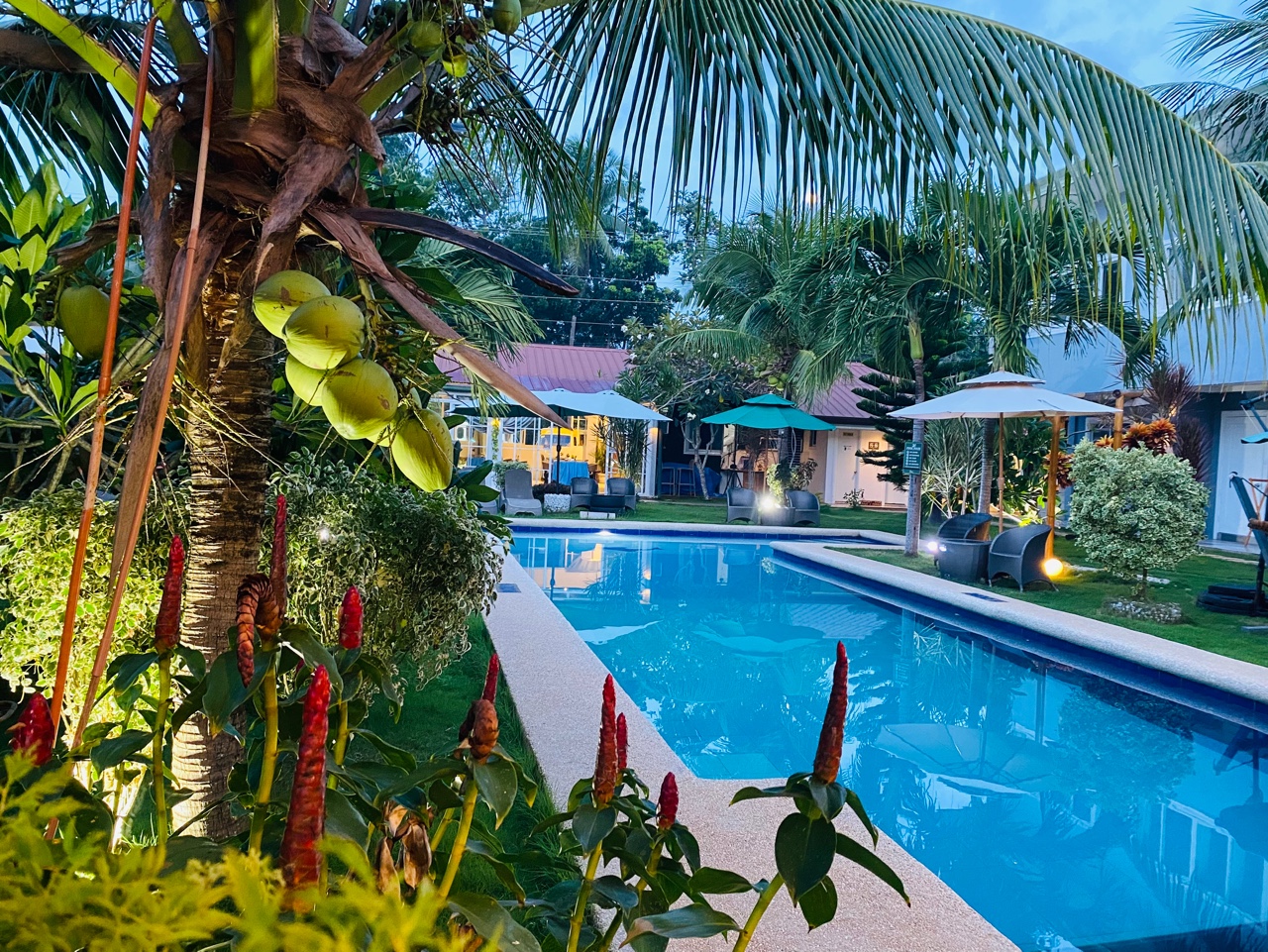 [보홀] 단비 리조트 입국/출국팩(Danbi Resort) 이미지 2