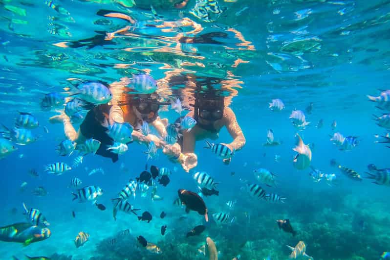 🏝️ 혼문섬 — 스노클링