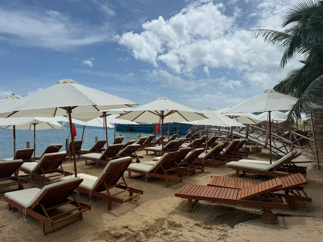 🏝 혼째섬 자유시간